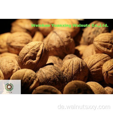 Top Grad Chinese Walnut Kernels Lichtquartiere